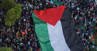Udine, scontri e tensione durante la partita Italia–Israele. Feriti due giornalisti