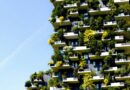 Dal cemento al verde: l’evoluzione sostenibile delle costruzioni
