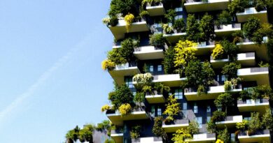 Dal cemento al verde: l’evoluzione sostenibile delle costruzioni
