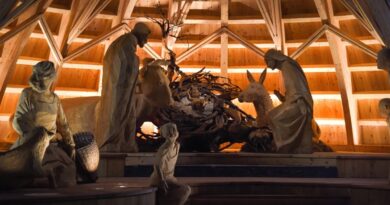 In Carnia: Sutrio, il borgo che diventa un presepe. Fino al 6 gennaio appuntamento con “Borghi e Presepi”, cuore pulsante dell’evento è la Via del Natale.