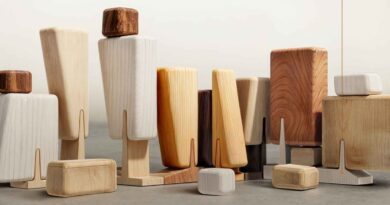 Paluzza e Sutrio (Friuli Venezia Giulia) – “BAUM Forme di bosco” vince il Design Contest “Da 0 a 100 anni: il design di un nuovo giocattolo in legno” Paluzza e Sutrio (Friuli Venezia Giulia) – “BAUM Forme di bosco” vince il Design Contest “Da 0 a 100 anni: il design di un nuovo giocattolo in legno”