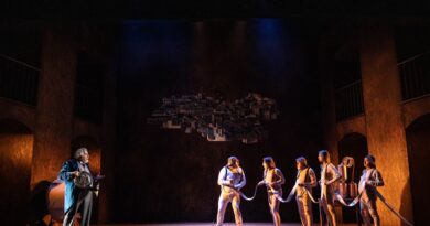 “Il birraio di Preston” al Politeama Rossetti per celebrare il centenario di Andrea Camilleri “Il birraio di Preston” al Politeama Rossetti per celebrare il centenario di Andrea Camilleri