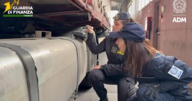 Porto di Trieste, sequestrati 20 chili di oppio nascosti in un tir. Arrivava dall’Iraq via Turchia