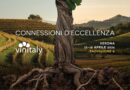 Vinitaly 2026, la regione presente con 80 cantine nella collettiva, 31 negli stand individuali e 7 nello stand Bio