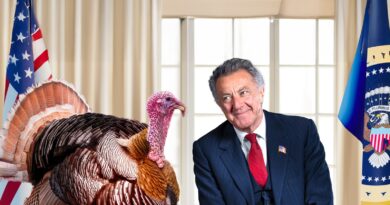 Il cinismo del potere in scena al Teatro Bobbio con November Il cinismo del potere in scena al Teatro Bobbio con November