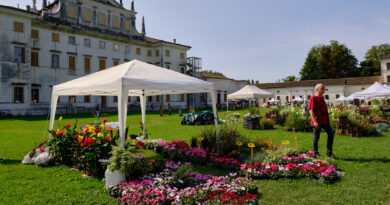 Torna nel fine settimana la rassegna floreale e culturale “Nel Giardino del Doge Manin”