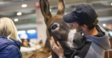 Pordenone Fiere, doppio appuntamento nel weekend: Ecocasa e PetShow Nordest