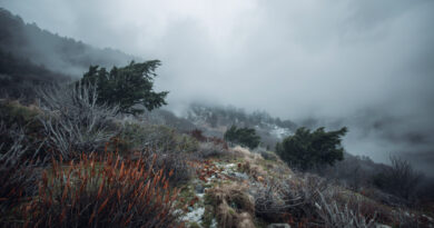 Forti venti di Bora in Friuli Venezia Giulia, raffiche fino a 126 km/h in montagna