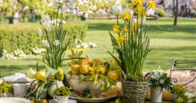 “Magici Intrecci Primaverili” al Castello di Strassoldo di Sopra (UD) – 10, 11, 12 aprile 2026