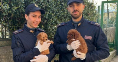 Contrabbando di animali da compagnia, intercettati 11 cuccioli alla frontiera. Sanzioni per due cittadini moldavi