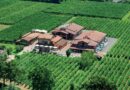 Acetaia Leonardi: un viaggio autentico nel mondo dell’aceto balsamico di Modena