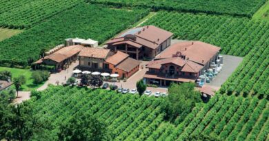 Acetaia Leonardi: un viaggio autentico nel mondo dell’aceto balsamico di Modena