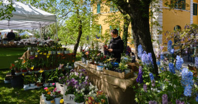 La rassegna Horti Tergestini compie vent’anni. Piante, incontri e degustazioni nel Parco di San Giovanni