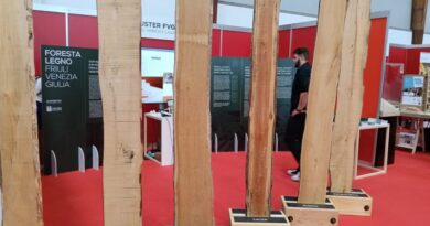 Legno-arredo, nel 2025 si tira il fiato: filiera a 52,2 miliardi, export in trasformazione Legno-arredo, nel 2025 si tira il fiato: filiera a 52,2 miliardi, export in trasformazione