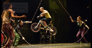 Cirque Éloize eccellenza del circo contemporaneo internazionale arriva al Rossetti