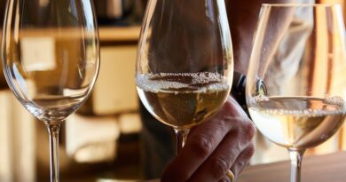 I migliori 10 vini veneti: un viaggio sensoriale tra le eccellenze italiane I migliori 10 vini veneti: un viaggio sensoriale tra le eccellenze italiane