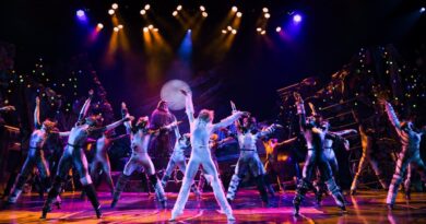 Anno record per il Teatro Stabile del Friuli Venezia Giulia