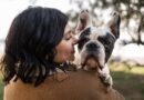 Malattia rara di una cagnolina ispira VetBook, startup nata a Gorizia per trovare veterinari specialisti Malattia rara di una cagnolina ispira VetBook, startup nata a Gorizia per trovare veterinari specialisti