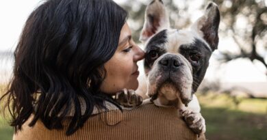 Malattia rara di una cagnolina ispira VetBook, startup nata a Gorizia per trovare veterinari specialisti Malattia rara di una cagnolina ispira VetBook, startup nata a Gorizia per trovare veterinari specialisti