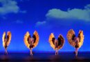 Con Botanica – Season 2 i Momix ritornano per sorprendere il pubblico ancora una volta al Il Rossetti