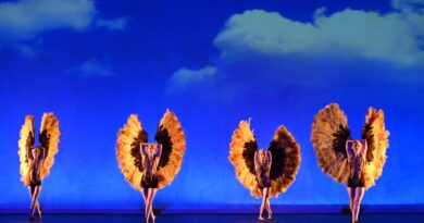Con Botanica – Season 2 i Momix ritornano per sorprendere il pubblico ancora una volta al Il Rossetti
