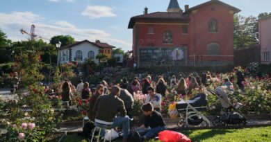 Rose Libri Musica Vino 2026 al via a Trieste con incontri, musica e degustazioni