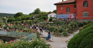 Prosegue venerdì 15 maggio al parco San Giovanni di Trieste la rassegna Rose Libri Musica Vino