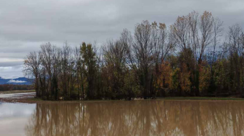 “Segnali dal clima in FVG” di ARPA. Il 2025 è stato il terzo anno più caldo mai registrato in regione