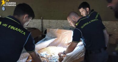Spilimbergo, scoperta fabbrica clandestina di sigarette: sette arresti e maxi sequestro