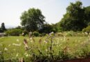 “Aspettando l’Estate”: ricco programma di eventi al Giardino Viatori di Gorizia