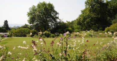 “Aspettando l’Estate”: ricco programma di eventi al Giardino Viatori di Gorizia “Aspettando l’Estate”: ricco programma di eventi al Giardino Viatori di Gorizia