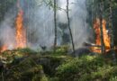 Fulmini innescano incendi boschivi tra Prealpi e Carnia, difficili gli interventi nelle aree impervie