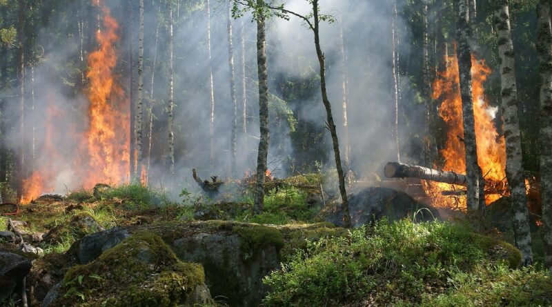 Fulmini innescano incendi boschivi tra Prealpi e Carnia, difficili gli interventi nelle aree impervie