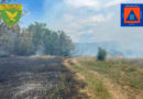 Incendi boschivi, nuovi inneschi e vaste zone bruciate: dichiarato lo stato di massima pericolosità