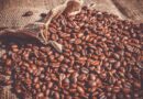 Meeting di Rimini, parla la AD di Illycaffè: tazzina al bar più cara per colpa dei costi di materie prime ed energia. Il peso della sostenibilità