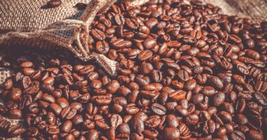 Meeting di Rimini, parla la AD di Illycaffè: tazzina al bar più cara per colpa dei costi di materie prime ed energia. Il peso della sostenibilità Meeting di Rimini, parla la AD di Illycaffè: tazzina al bar più cara per colpa dei costi di materie prime ed energia. Il peso della sostenibilità