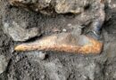 Grotta Tina Jama, visite guidate nel Carso alla scoperta di un accampamento di 8 mila anni fa