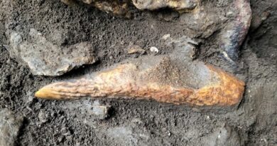 Grotta Tina Jama, visite guidate nel Carso alla scoperta di un accampamento di 8 mila anni fa
