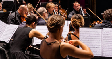 Teatro Verdi di Gorizia, domenica 1° novembre il concerto della Nordest Sinfonia a favore di AIRC Teatro Verdi di Gorizia, domenica 1° novembre il concerto della Nordest Sinfonia a favore di AIRC