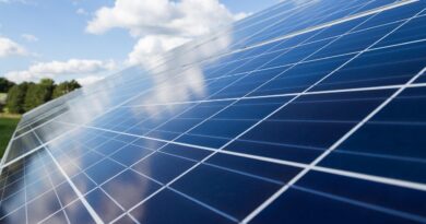 Al via il parco fotovoltaico da 2 MW nel Parco del Torre, il comune lo aveva contestato Al via il parco fotovoltaico da 2 MW nel Parco del Torre, il comune lo aveva contestato